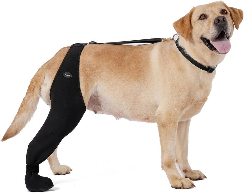 Yoneba Dog Socks to Prevent Licking Paws ，Breathable Leg Sleeve to Stop Licking and Biting， Firm and Secure Adjustable Size Dog Recovery Sleeve Socks (M-Right) - Image 1
